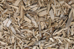 biomass boilers Appersett